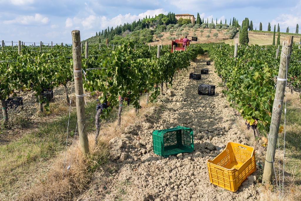 Argiano Dimore Wine Relais Esterno foto